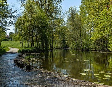 Une famille faisant du vélo sur une voie verte sécurisée bordée d'arbres